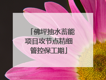 佛坪抽水蓄能项目攻节点精细管控保工期