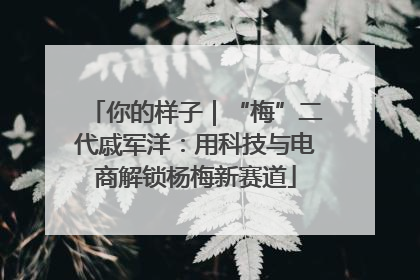 你的样子｜“梅”二代戚军洋：用科技与电商解锁杨梅新赛道
