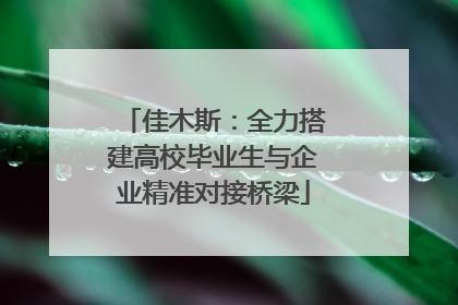 佳木斯：全力搭建高校毕业生与企业精准对接桥梁