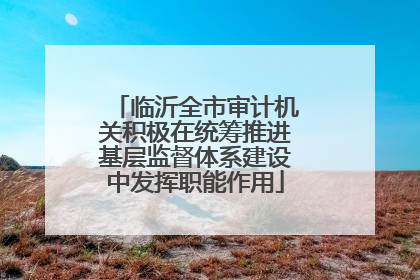 临沂全市审计机关积极在统筹推进基层监督体系建设中发挥职能作用