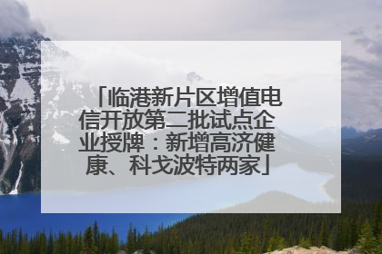 临港新片区增值电信开放第二批试点企业授牌：新增高济健康、科戈波特两家