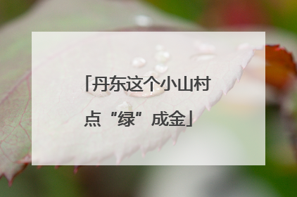 丹东这个小山村点“绿”成金