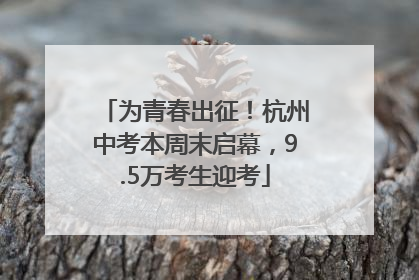 为青春出征！杭州中考本周末启幕，9.5万考生迎考