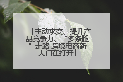 主动求变、提升产品竞争力、“多条腿”走路 跨境电商新大门在打开