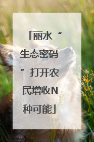 丽水“生态密码”打开农民增收N种可能