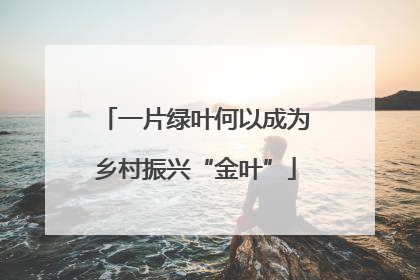 一片绿叶何以成为乡村振兴“金叶”
