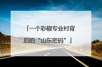 一个彩椒专业村背后的“山东密码”