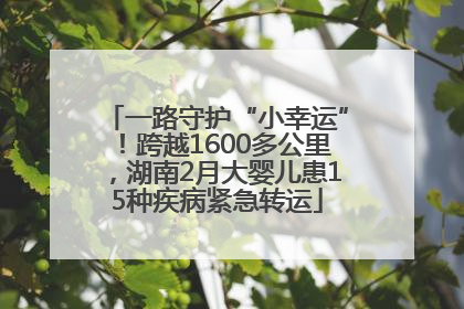 一路守护“小幸运”！跨越1600多公里，湖南2月大婴儿患15种疾病紧急转运