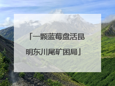 一颗蓝莓盘活昆明东川尾矿困局