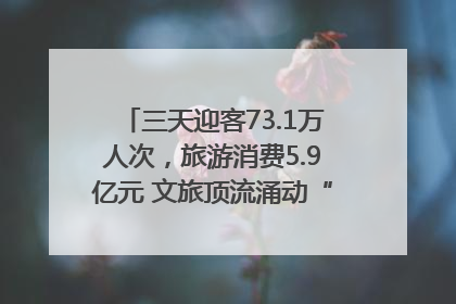 三天迎客73.1万人次，旅游消费5.9亿元 文旅顶流涌动“江宁style”