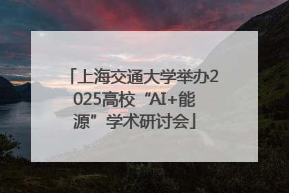 上海交通大学举办2025高校“AI+能源”学术研讨会