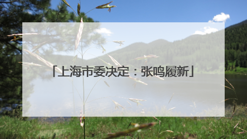 上海市委决定：张鸣履新
