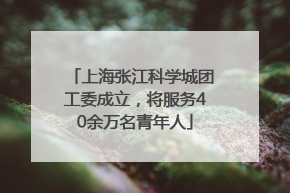 上海张江科学城团工委成立，将服务40余万名青年人