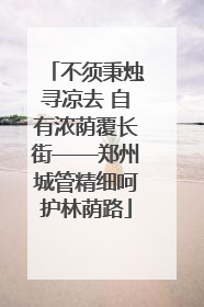 不须秉烛寻凉去 自有浓荫覆长街——郑州城管精细呵护林荫路