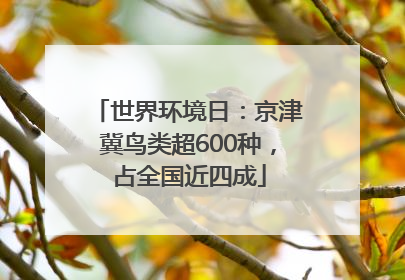 世界环境日：京津冀鸟类超600种，占全国近四成