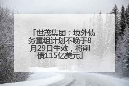世茂集团：境外债务重组计划不晚于8月29日生效，将削债115亿美元