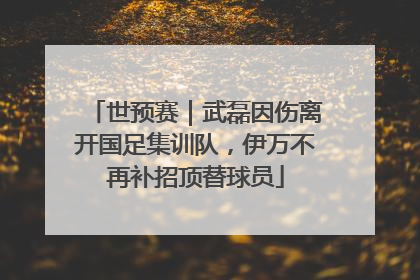 世预赛｜武磊因伤离开国足集训队，伊万不再补招顶替球员