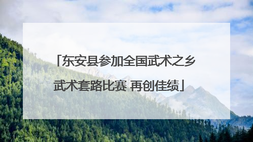 东安县参加全国武术之乡武术套路比赛 再创佳绩