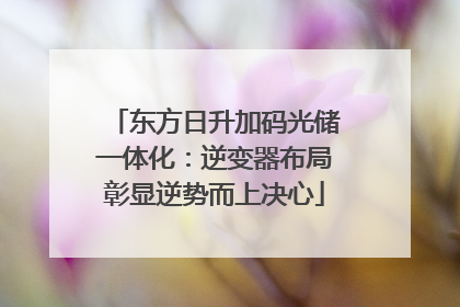 东方日升加码光储一体化：逆变器布局彰显逆势而上决心