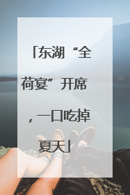 东湖“全荷宴”开席，一口吃掉夏天