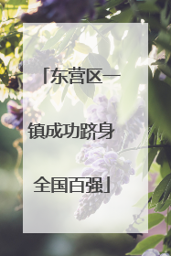 东营区一镇成功跻身全国百强