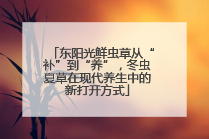 东阳光鲜虫草从“补”到“养”，冬虫夏草在现代养生中的新打开方式