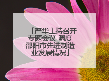 严华主持召开专题会议 调度邵阳市先进制造业发展情况