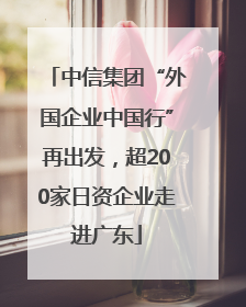 中信集团“外国企业中国行”再出发，超200家日资企业走进广东