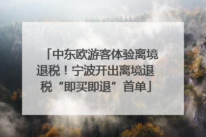 中东欧游客体验离境退税！宁波开出离境退税“即买即退”首单