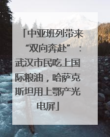 中亚班列带来“双向奔赴”：武汉市民吃上国际粮油，哈萨克斯坦用上鄂产光电屏