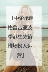 中企承建格鲁吉亚波季港集装箱堆场投入运营