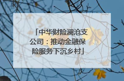 中华财险澜沧支公司：推动金融保险服务下沉乡村