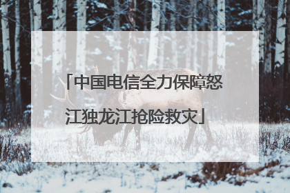 中国电信全力保障怒江独龙江抢险救灾