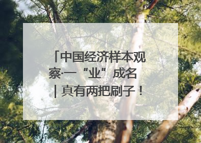 中国经济样本观察·一“业”成名｜真有两把刷子！“刷”出30亿级“颜值经济”