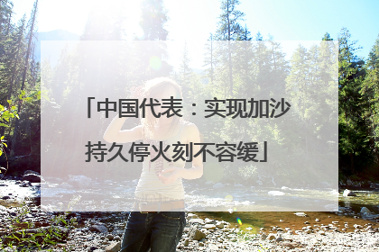 中国代表：实现加沙持久停火刻不容缓