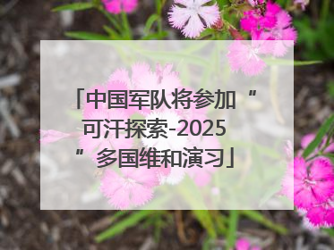 中国军队将参加“可汗探索-2025”多国维和演习