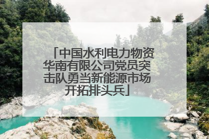中国水利电力物资华南有限公司党员突击队勇当新能源市场开拓排头兵