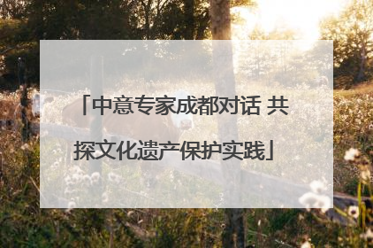 中意专家成都对话 共探文化遗产保护实践