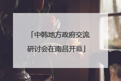中韩地方政府交流研讨会在南昌开幕