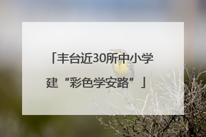 丰台近30所中小学建“彩色学安路”