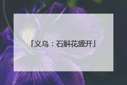 义乌：石斛花盛开