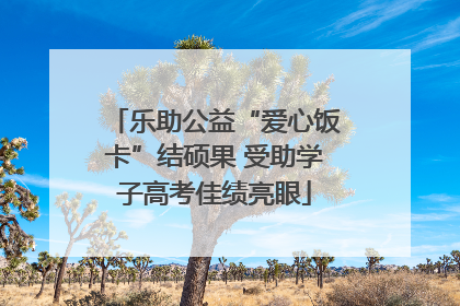乐助公益“爱心饭卡”结硕果 受助学子高考佳绩亮眼