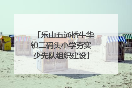 乐山五通桥牛华镇二码头小学夯实少先队组织建设