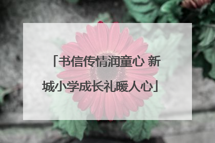 书信传情润童心 新城小学成长礼暖人心