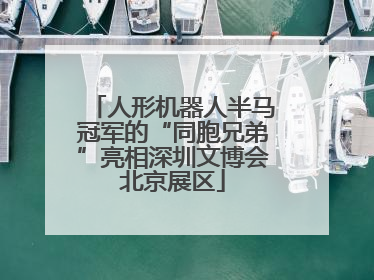 人形机器人半马冠军的“同胞兄弟”亮相深圳文博会北京展区