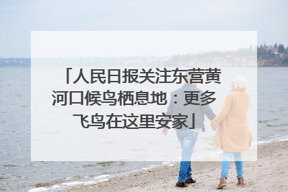 人民日报关注东营黄河口候鸟栖息地：更多飞鸟在这里安家