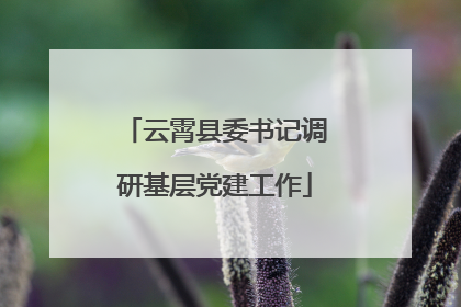 云霄县委书记调研基层党建工作