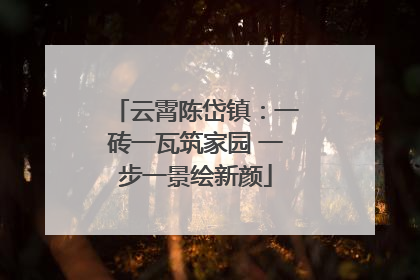 云霄陈岱镇：一砖一瓦筑家园 一步一景绘新颜