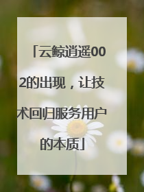 云鲸逍遥002的出现，让技术回归服务用户的本质