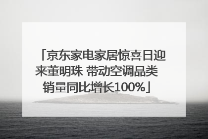 京东家电家居惊喜日迎来董明珠 带动空调品类销量同比增长100%